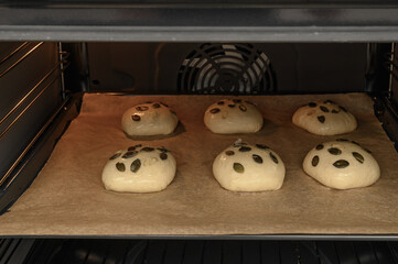 Homemade seed buns are baked in the middle of the oven