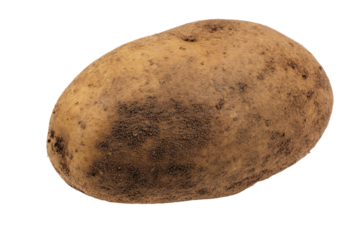 a potato with a brown substance on it