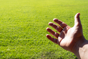Hand reaching out with green grass background