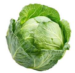 Fototapeta premium Fresh green cabbage head isolated on transparent background representing healthy eating and organic food