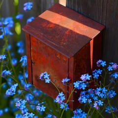 Rustic Mailbox Surrounded by Vibrant Forget-Me-Not Flowers