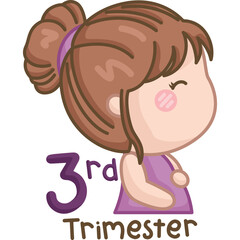 a vector of pregnant trimester