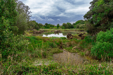 river in the mountains