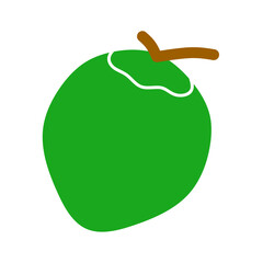 coconut fruit vector on white background