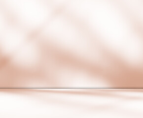 Begie background wall floor with shadow flower gradient old rose color backdrop, minimal podium...