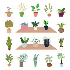 house plants growing indoor ceramic pots shelf vector set illustration clipart