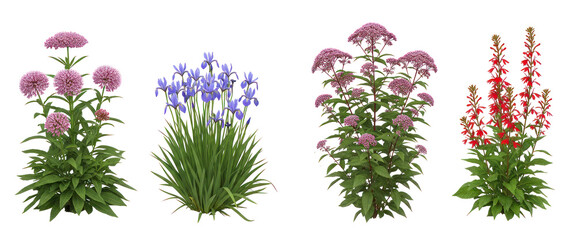 Collection of blooming perennial flowers isolated on transparent background, colorful garden plants for landscaping and design © Hala