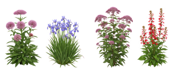 Collection of blooming perennial flowers isolated on transparent background, colorful garden plants for landscaping and design