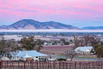 Obraz premium Misty valley sunrise over vineyards