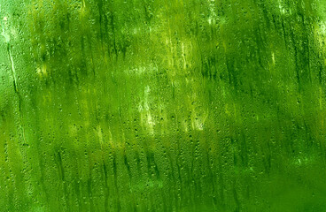 wet window glass. drops in close-up. abstract wet glass background. green textured backdrop.