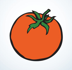 Tomatoes. Vector drawing icon sign