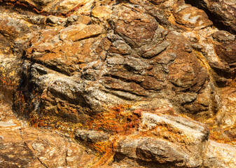 The image is of a rock with a lot of texture and a reddish-brown color