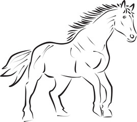 minimalistic black and white line art illustration of a horse