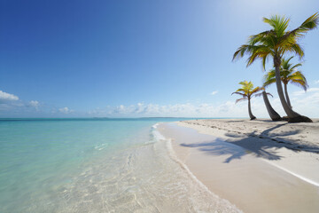 Serene tropical beach scene: turquoise water, white sand, palm trees casting shadows, sunny day, idyllic vacation getaway.