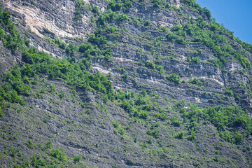 Monte di Mezzocorona, Trentino,Italy.