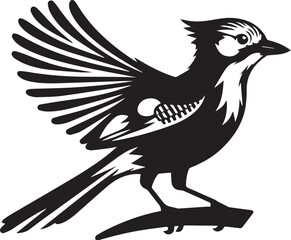 Vector of Blue jay bird, black and white design.