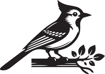 Vector of Blue jay bird, black and white design.