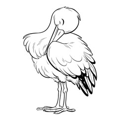 Fototapeta premium Outline Simple Standing Stork with Head Preening Feather Illustration. Ai Generated Images