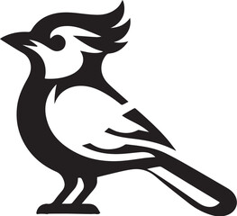 Vector of Blue jay bird, black and white design.