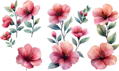 set of watercolor flowers