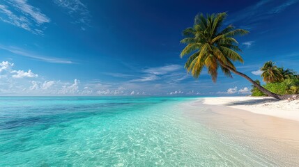 Tropical beach paradise (2)
