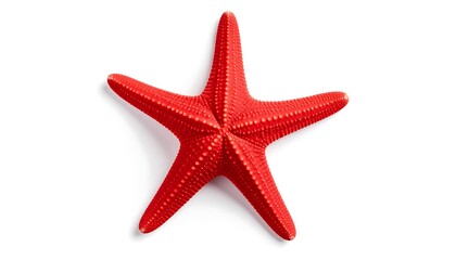 Red starfish on white background (2)