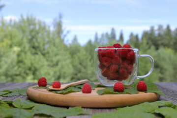A wooden plate with a glass mug of ripe raspberries is placed among raspberry leaves on an old wooden table  against a summer forest landscape.
