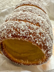 Delicious golden pastry sprinkled with coconut flakes, showcasing a crisp outer layer and a soft, sweet filling.