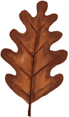 brown oak leaf
