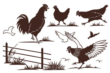 Fototapeta premium Farmyard Fowl Silhouettes – Detailed Pose Variations 