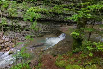 Mountain stream with small waterfall and steep banks in forest