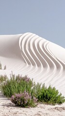 Wind Sculpted White Sand Dunes with Sparse Vegetation