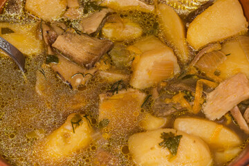 Boletus soup in bowl, fragment close-up in selective focus