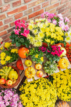 Autumn flowers and fruits arranged on outdoor terrace
