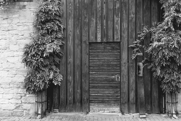 Weathered wooden door and ivy-covered walls reflect time in a serene urban setting on a late...