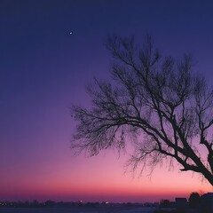 Winter Twilight Sky Fading from Lavender to Deep Purple with Tree Silhouette