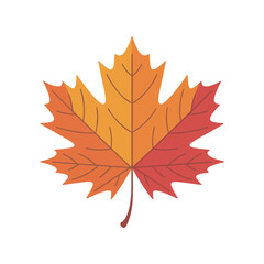 Obraz premium Autumn Maple Leaf