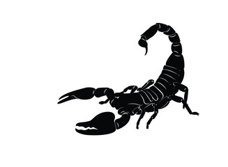 Shadow scorpion is raising its venomous tail gracefully. Graphic of isolated element on background. Poisonous insect. Vector illustration.