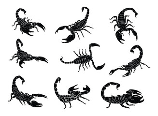 Set of venomous, graceful scorpion silhouettes. Poisonous insects. Vector illustration.
