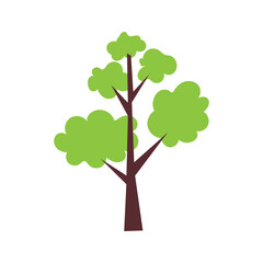 Green plant tree tropical leave cartoon design