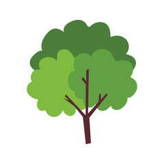 Green plant tree tropical leave cartoon design