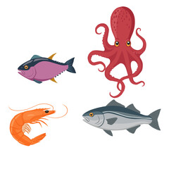 Colorful vector illustration of sea creatures including fish, octopus, and shrimp, perfect for educational content, seafood menus, children's materials, and marine-themed designs