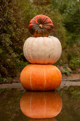 Three pumpkin stacked in a tower