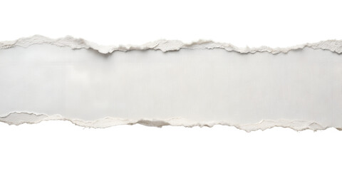 Fototapeta premium Torn paper on transparent background