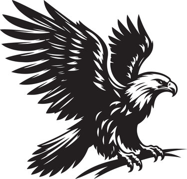 Eagle flying vector, Eagle bird clipart, African hawk flying vector silhouette illustration 
