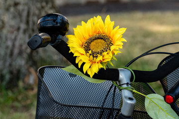 A bright artificial sunflower decorates a bicycle in a sunny park.