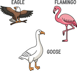 Illustrated Birds Eagle, Flamingo, Goose, Educational Wildlife Drawing, Ornithology Animal Species, Nature-Inspired Vector Art, Avian Graphics, Adobe Stock