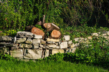 Wood logs stacked beside a stone wall in a garden.