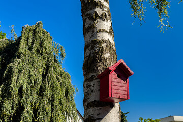 Bright red birdhouse attached to a tree trunk outdoors.