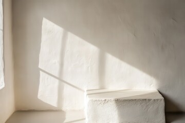 Sunlight casts shadows on a pale cream-colored wall.